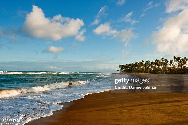 surf rolling onto a north coast beach near salvador - brazil bildbanksfoton och bilder