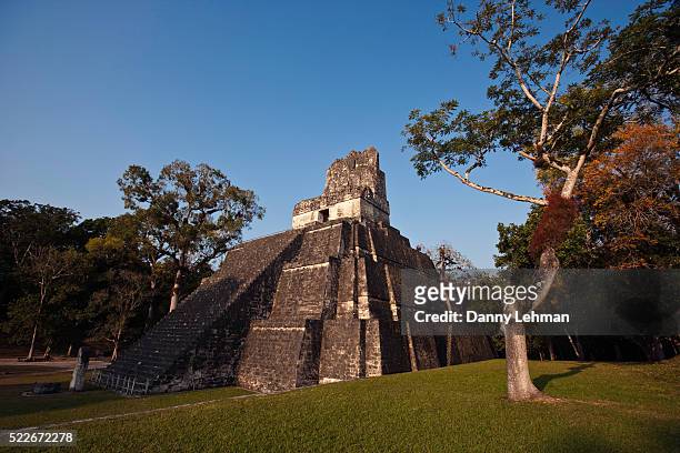 temple ii in the great plaza at tikal - tikal stock pictures, royalty-free photos & images