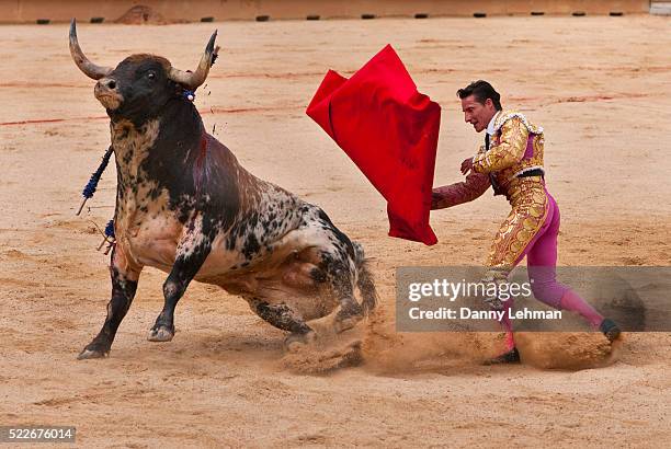 bullfight during the festival of san fermin - stierengevecht stockfoto's en -beelden