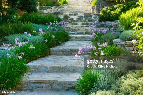 mediterranean garden - southern europe fotografías e imágenes de stock