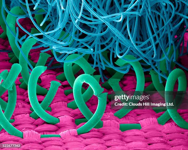 electron micrograph of velcro - nylon fastening tape stock pictures, royalty-free photos & images