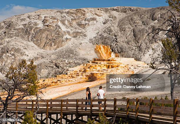 mammoth hot springs, yellowstone national park - mammoth hot springs fotografías e imágenes de stock