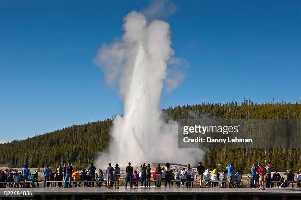 old faithful geyser, yellowstone national park - yellowstone nationalpark stock-fotos und bilder
