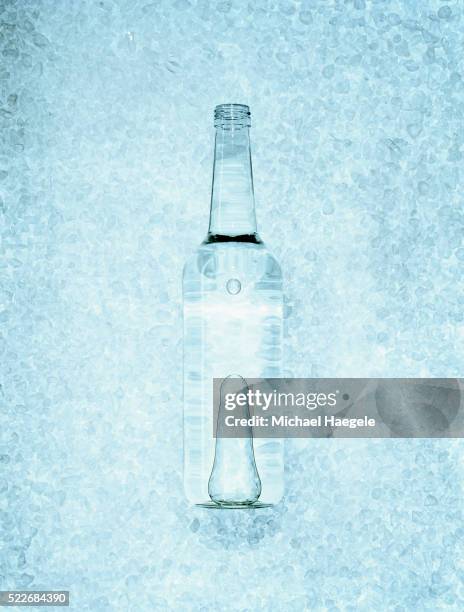 bottle of vodka on ice - ice cube stock-fotos und bilder