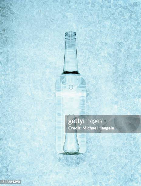 bottle of vodka on ice - ウォッカ ストックフォトと画像