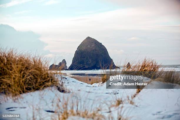beach and sea stack - eastern oregon stock pictures, royalty-free photos & images