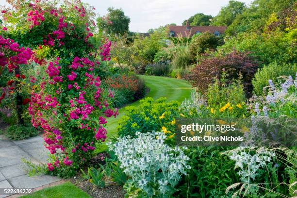 flower garden - roses in garden stock pictures, royalty-free photos & images