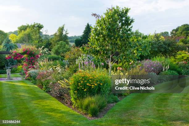 border of herbaceous planting - siertuin stockfoto's en -beelden