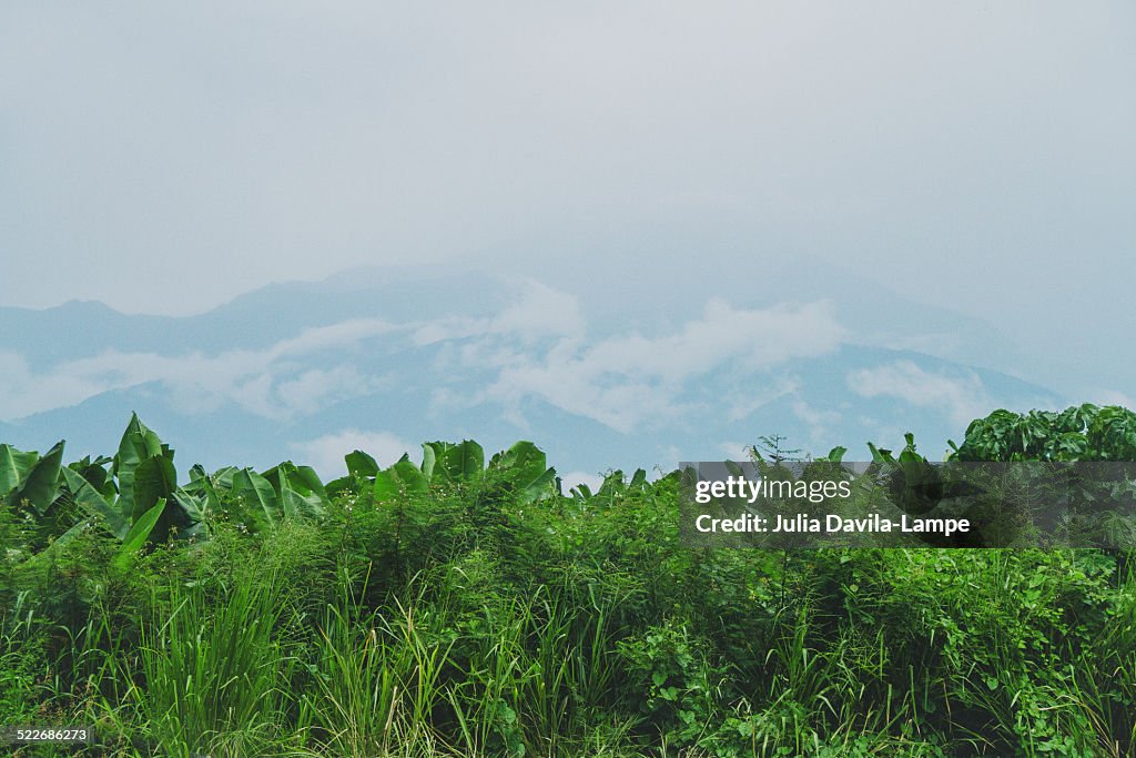 Between the mountains and the coast in Ecuador