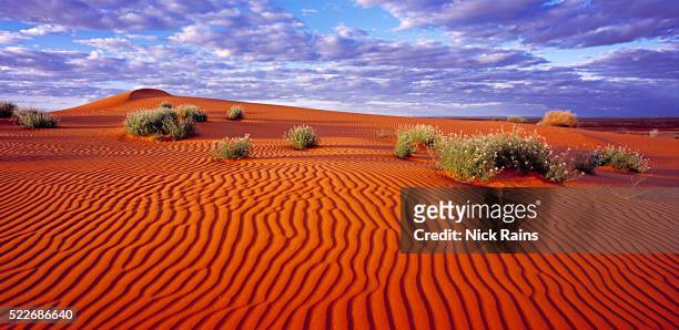 simpson desert - rippled sand stock pictures, royalty-free photos & images