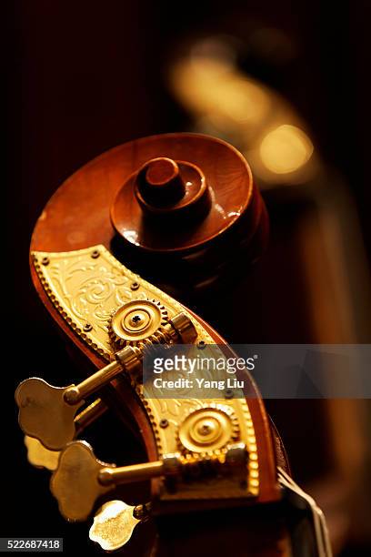 double bass headstock - bass player stock pictures, royalty-free photos & images