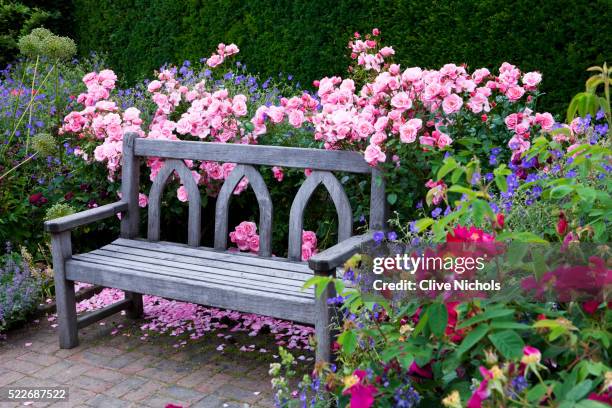 blossoming flowers - legno rosa foto e immagini stock