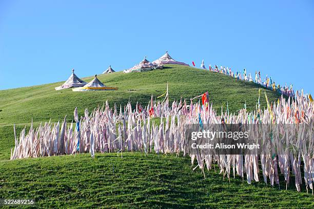 hill of buddhist prayer flags - kham stock pictures, royalty-free photos & images