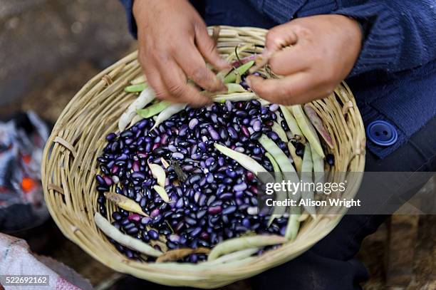 beans for sale at the market - san cristobal - fotografias e filmes do acervo