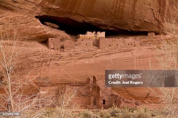 canyon de chelly national monument, arizona, the white house rui - spider rock stock pictures, royalty-free photos & images