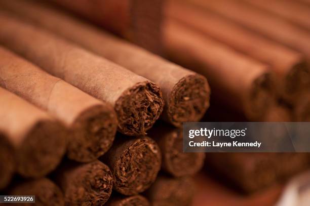 hand-rolled cigars - cigar stock pictures, royalty-free photos & images