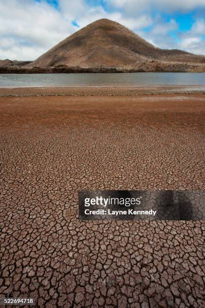 dried salt-water lagoon at cormorant point, galapagos islands, ecuador - îles galapagos photos et images de collection