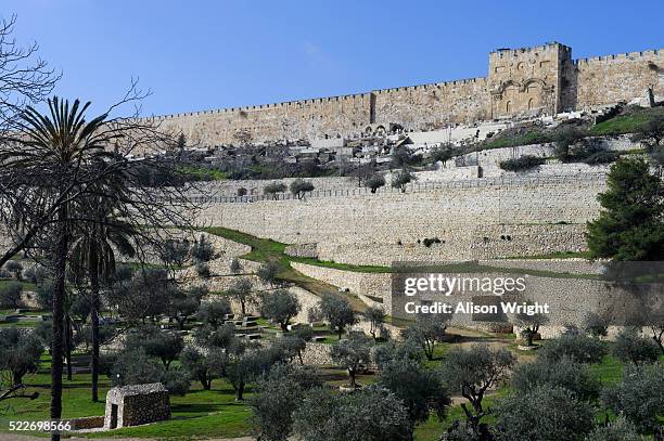 gethsemane's church in jerusalem - mount of olives stock pictures, royalty-free photos & images