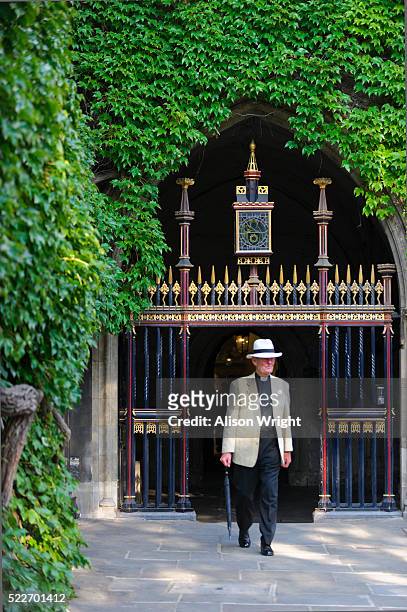 westminster abbey, dean's yard - dean's yard stock pictures, royalty-free photos & images