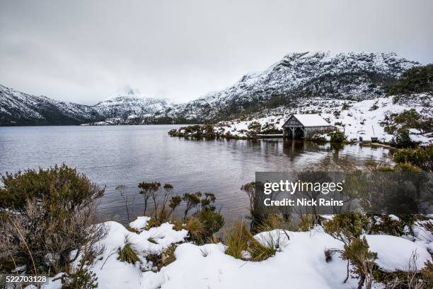 dove lake - winter australia stockfoto's en -beelden