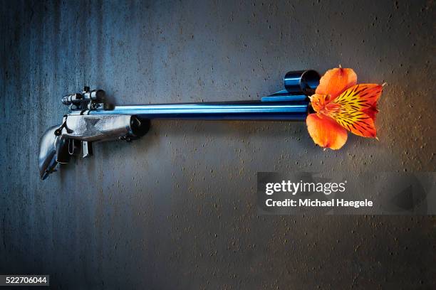 Flower Rifle 617 Flower In Rifle Stock Photos, High-Res Pictures, and Images - Getty ...