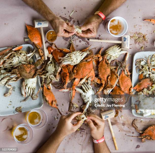 annapolis, maryland crab feast - bahía de chesapeake fotografías e imágenes de stock