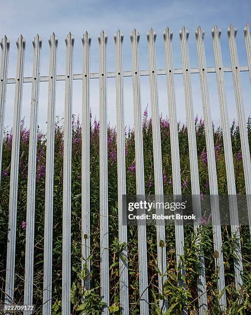 palisade fence with weeds - palisades pictures stock pictures, royalty-free photos & images