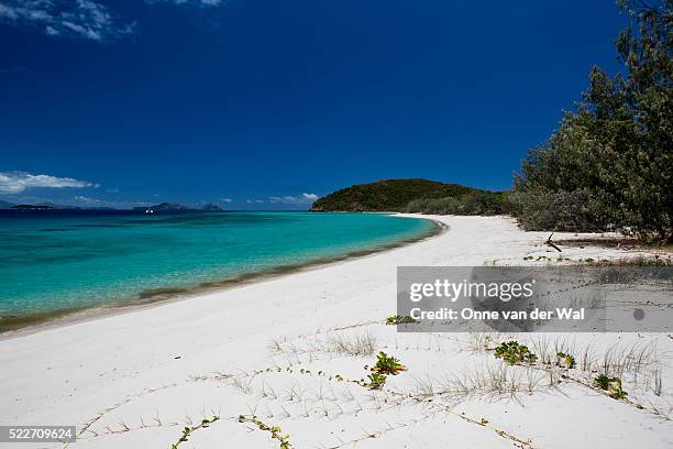 chalkies beach - hamilton island stockfoto's en -beelden