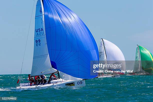 2013 key west race week - week 2012 stock pictures, royalty-free photos & images