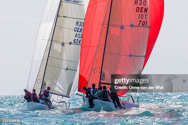 2013 key west race week - week 2012 stock pictures, royalty-free photos & images