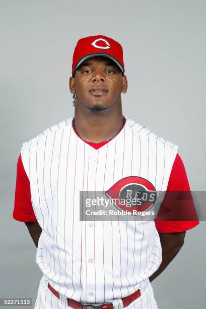 Wily Mo Pena of the Cincinnati Reds poses for a portrait during photo day at Ed Smith Stadium on February 24, 2005 in Sarasota, Florida.
