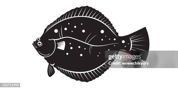 flounder vector - flounder stock illustrations