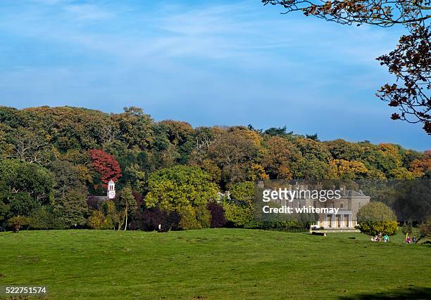 autumn colours in sheringham park - molehill stock pictures, royalty-free photos & images