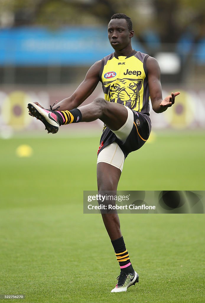 Richmond Tigers Training Session