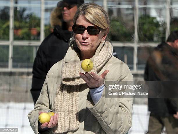 Martha Stewart shows some lemons grown in her hothouse at her estate March 4, 2005in Katonah, New York. Stewart was released from prison early in the...