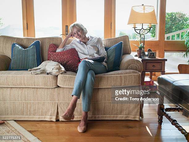 woman at home with her reading and dog - legs crossed at knee stock pictures, royalty-free photos & images