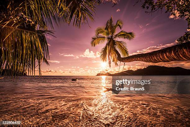 entspannte frau schwingen über dem meer ein sonnenuntergang strand. - seychellen stock-fotos und bilder