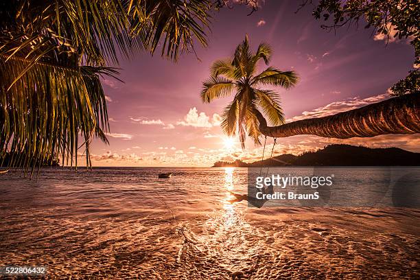carefree woman swinging above the sea at sunset beach. - perfection stock pictures, royalty-free photos & images