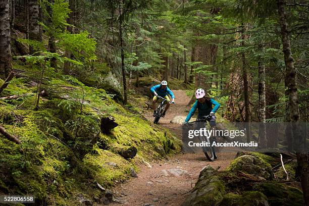 couple mountain biking through a forest - mountainbiken stockfoto's en -beelden