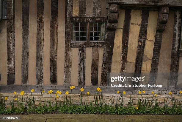 Spring Shakespeare Susanna Shakespeare Photos and Premium High Res Pictures - Getty Images