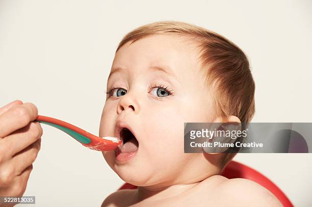 baby being fed - baby eating food imagens e fotografias de stock