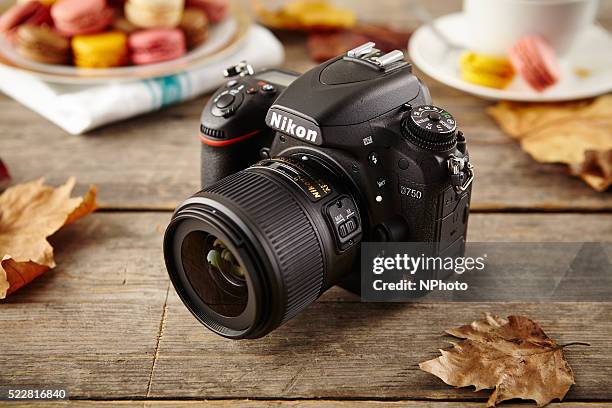 Portrait Nikon D750 Year Portrait Nikon D750 Sigma 35mm Art Dg Hsm