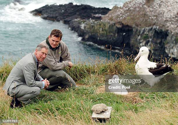 Prince Charles and head ranger at the Royal Albatross Centre Lyndon Perriman get a close up look at a Royal Albatross and its chick during a visit to...