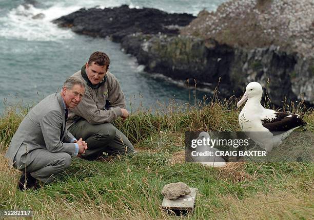 Britain's Prince Charles and the head ranger at the Royal Albatross Centre, Lyndon Perriman , get a close up look at a Royal Albatross and its chick...