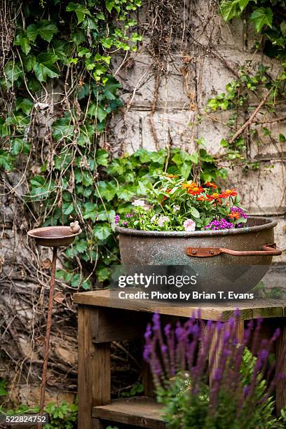 a tranquil backyard scene with a kettle and ivy - bte stock pictures, royalty-free photos & images