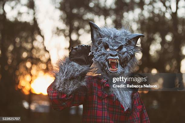 werewolf at sunset - fancy dress costume stock pictures, royalty-free photos & images