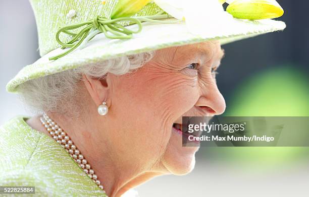 Queen Elizabeth II meets the public during her 90th Birthday Walkabout on April 21, 2016 in Windsor, England. Today is Queen Elizabeth II's 90th...