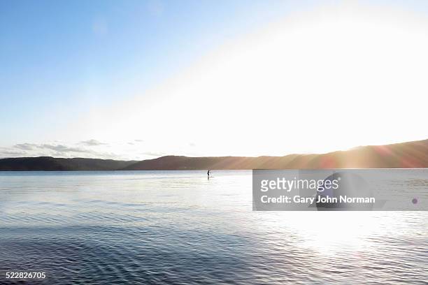 paddleboarder in middle of pittwater. - pittwater stock pictures, royalty-free photos & images