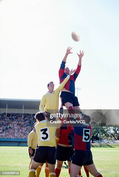 rugby players in a lineout - caught in the act stock-fotos und bilder