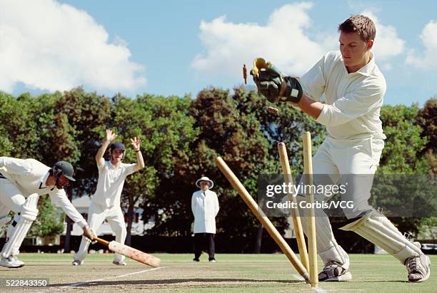 action at the wicket during a cricket match - cricket umpire stock-fotos und bilder